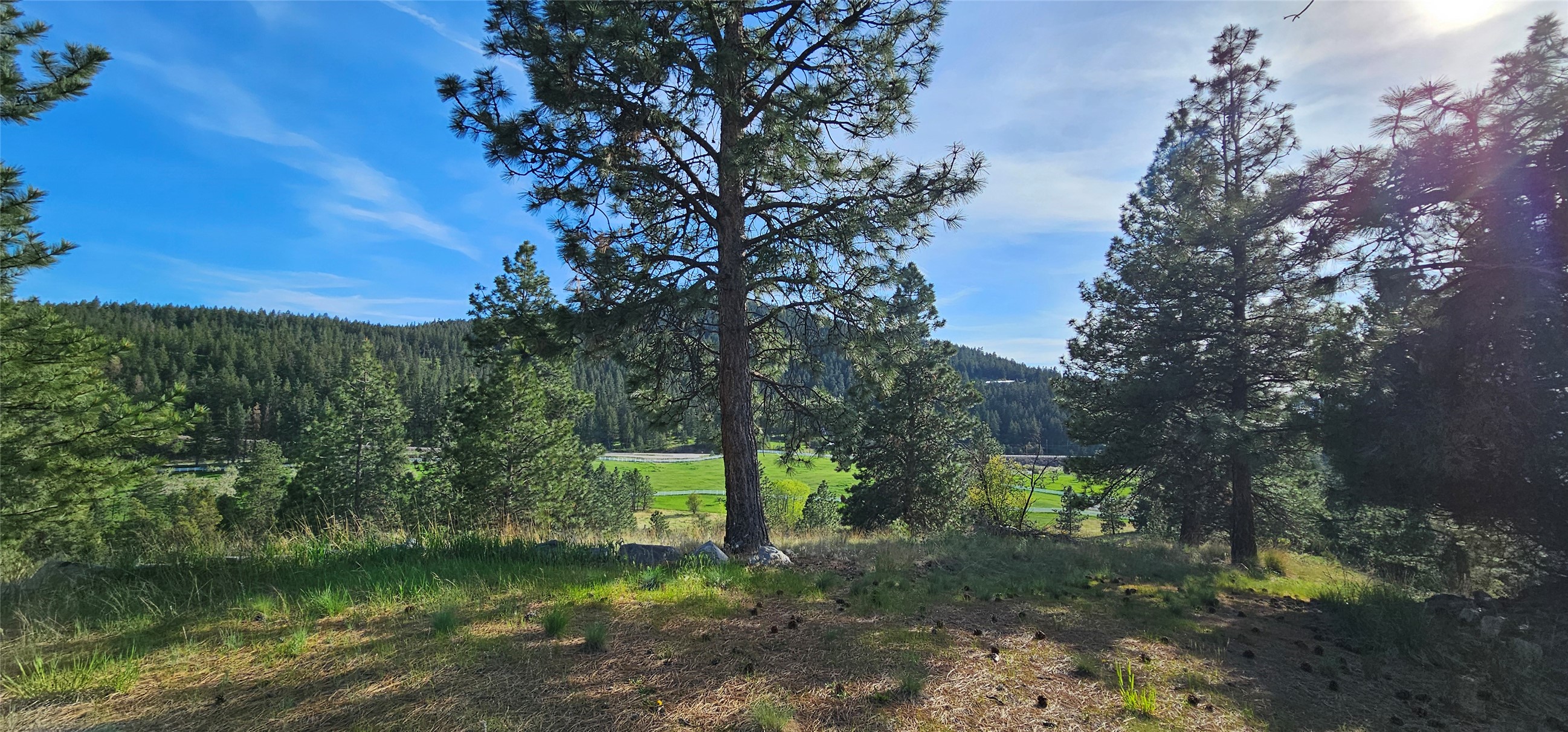 Polson, Montana 59860, United States, ,Land,Active,175284