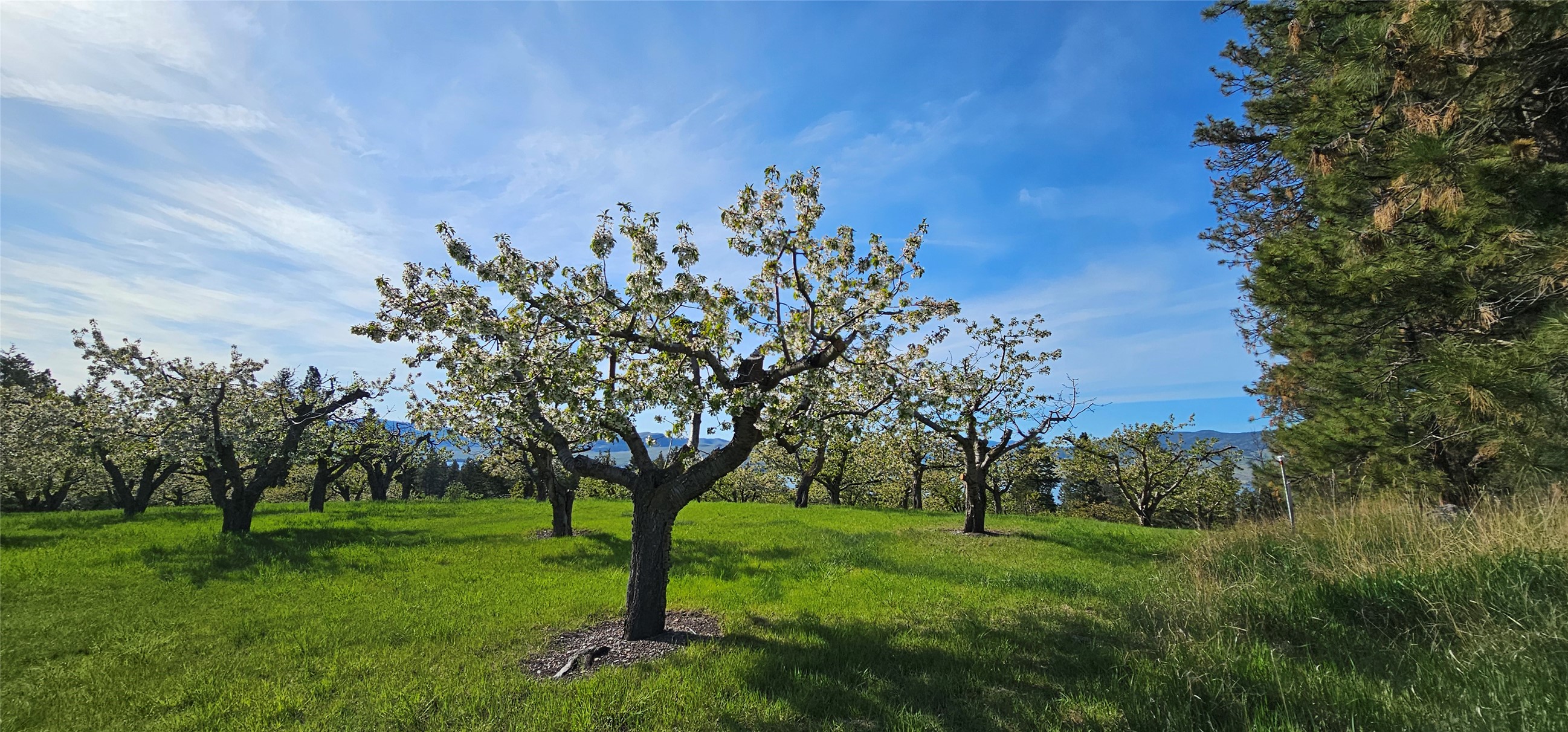 Polson, Montana 59860, United States, ,Land,Active,175284