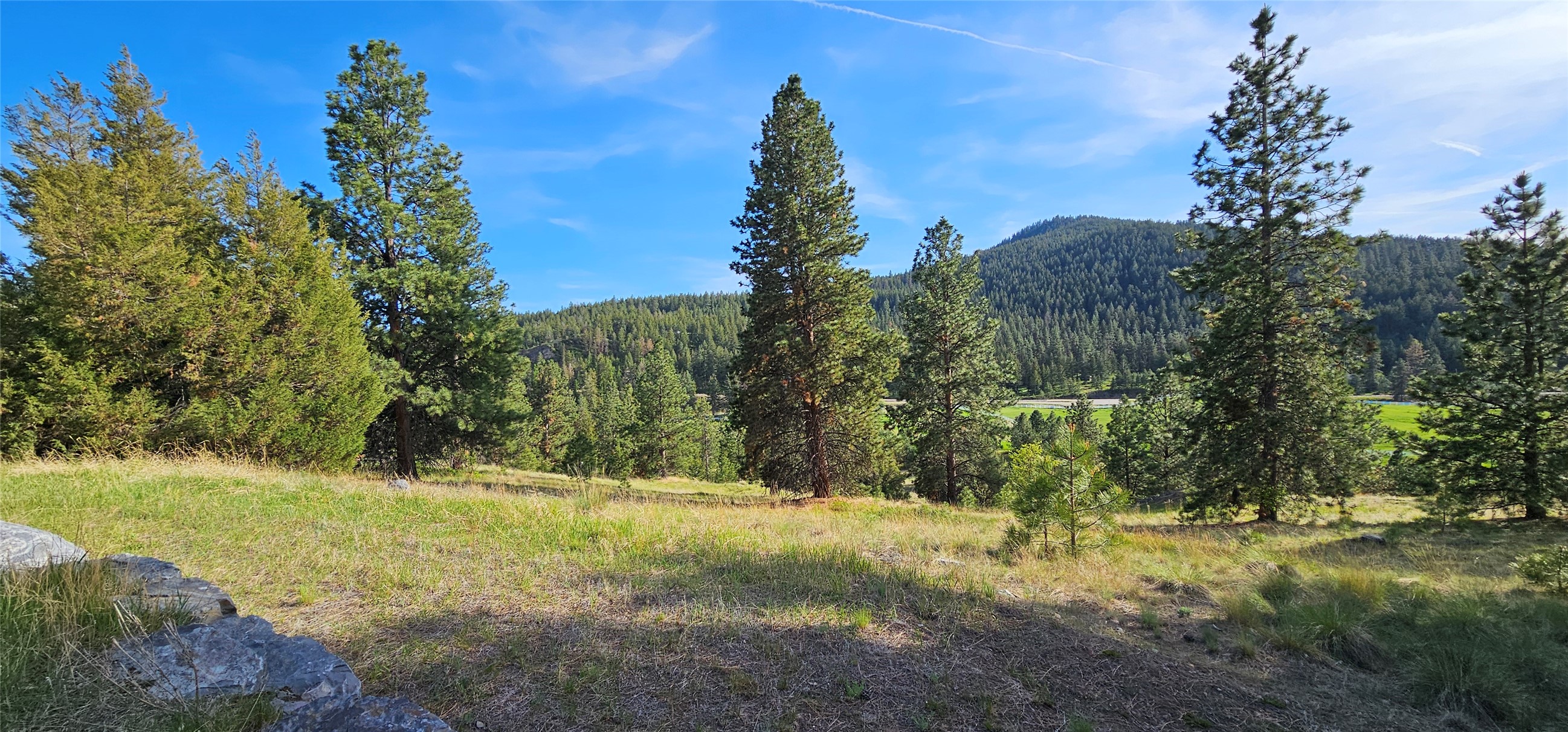 Polson, Montana 59860, United States, ,Land,Active,175284