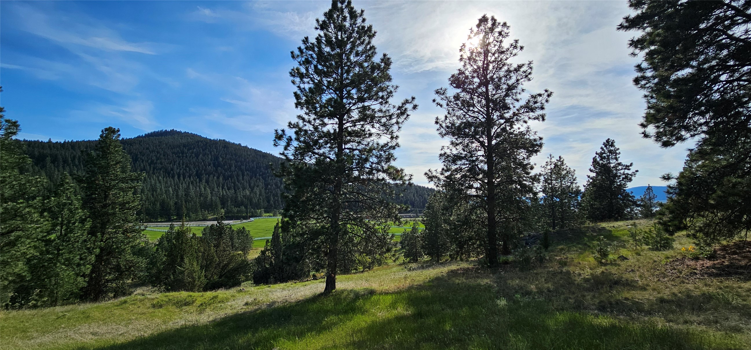 Polson, Montana 59860, United States, ,Land,Active,175284