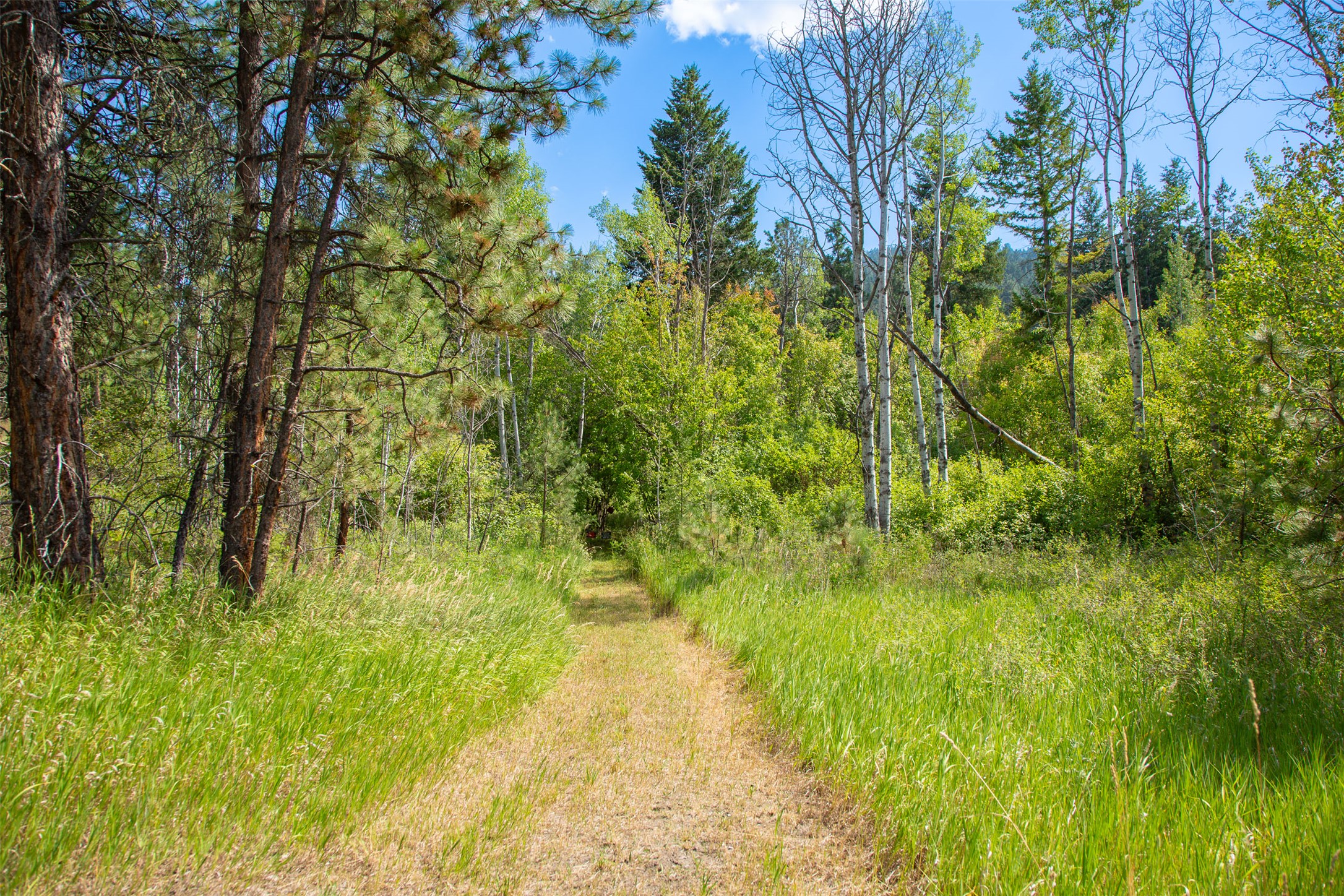 Polson, Montana 59860, United States, ,Land,Active,175284