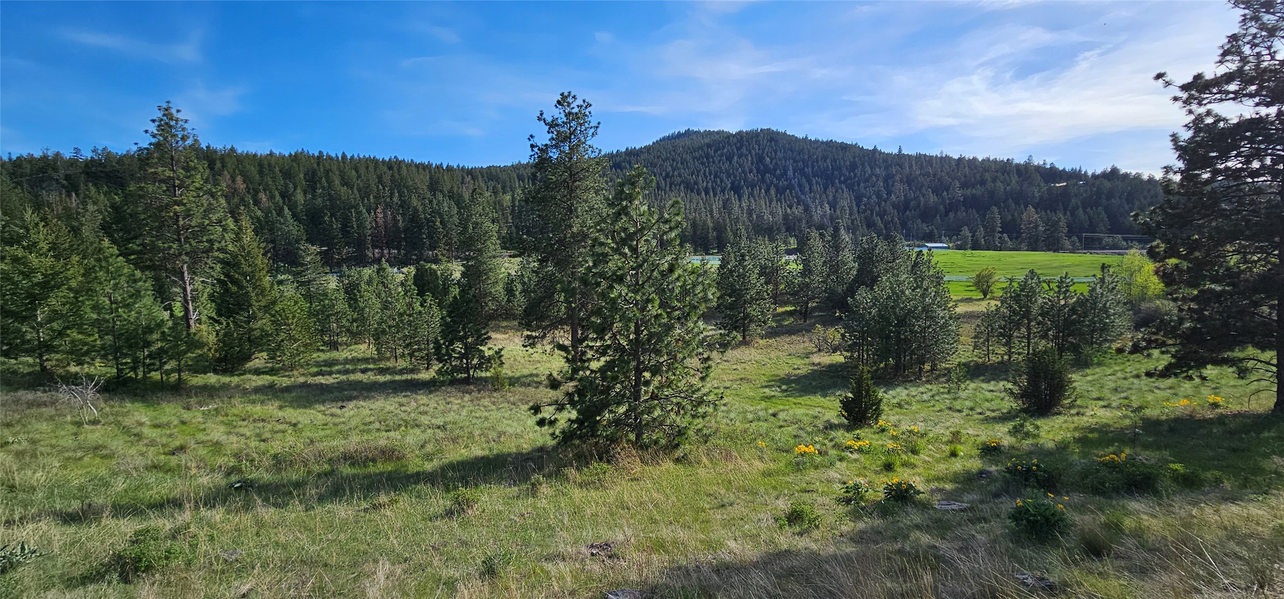 Polson, Montana 59860, United States, ,Land,Active,175284