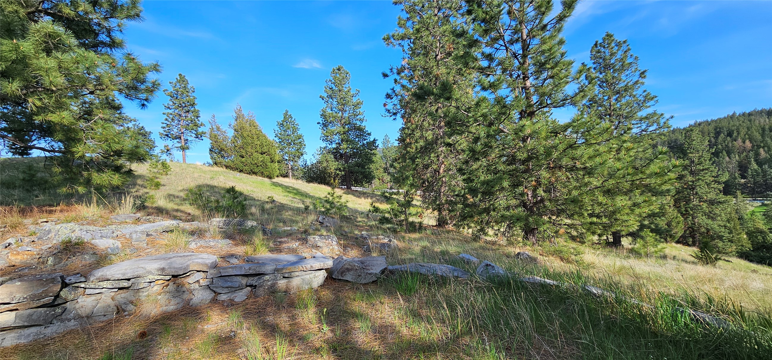 Polson, Montana 59860, United States, ,Land,Active,175284