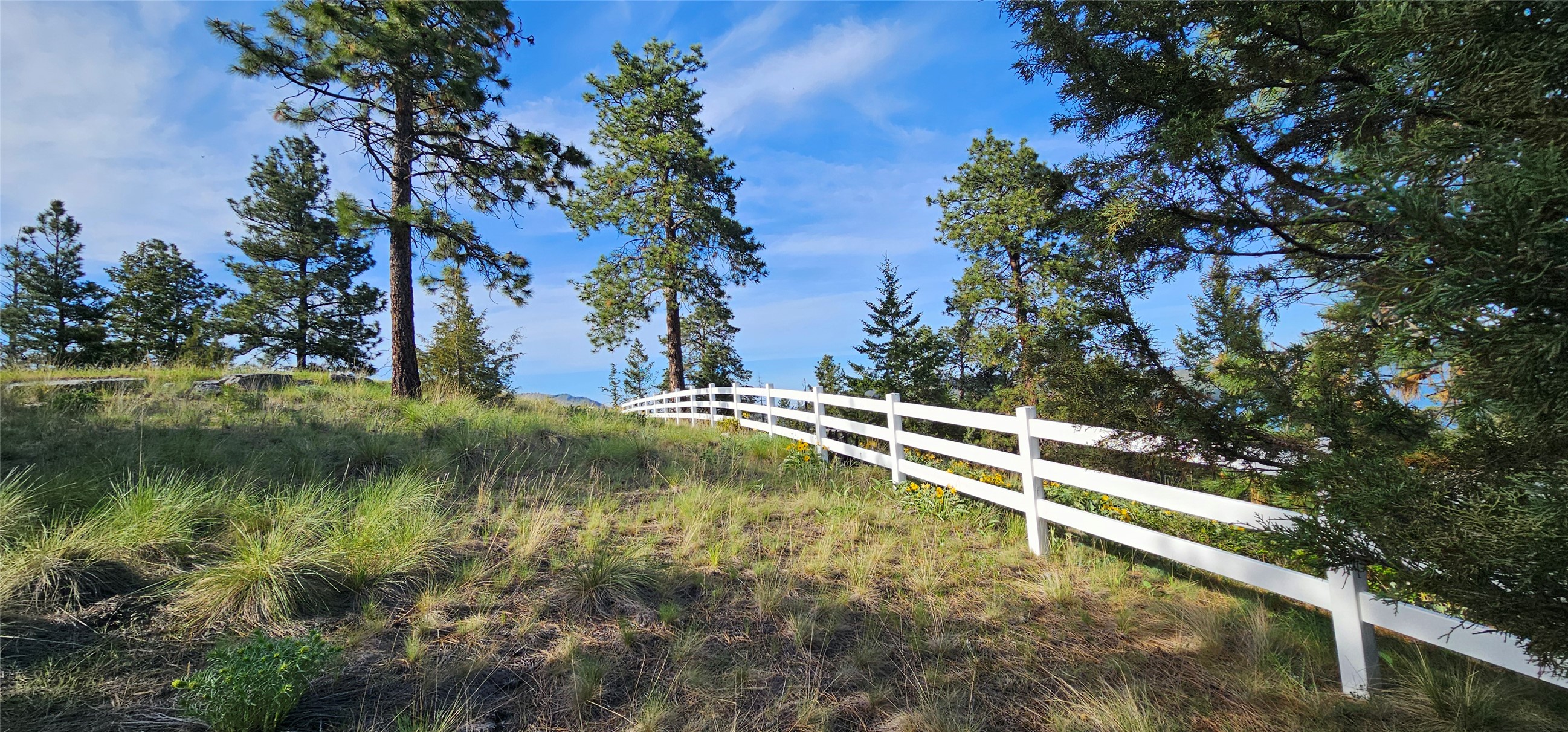 Polson, Montana 59860, United States, ,Land,Active,175284
