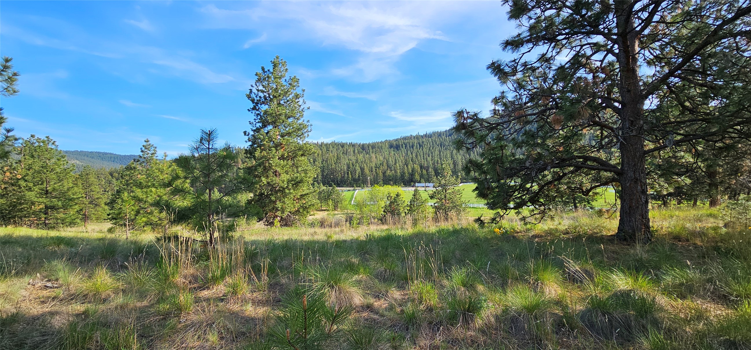 Polson, Montana 59860, United States, ,Land,Active,175284