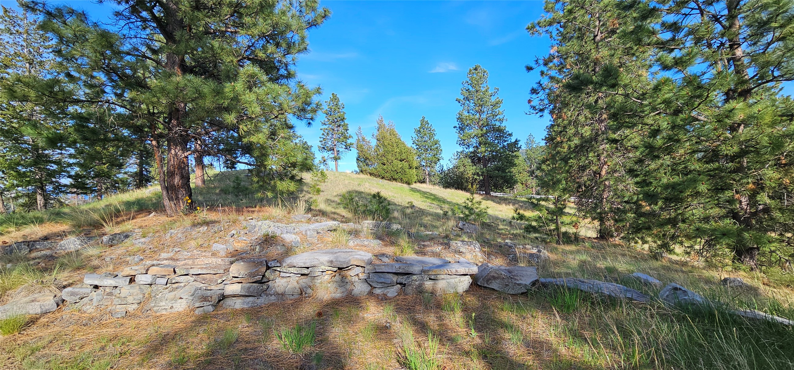 Polson, Montana 59860, United States, ,Land,Active,175284