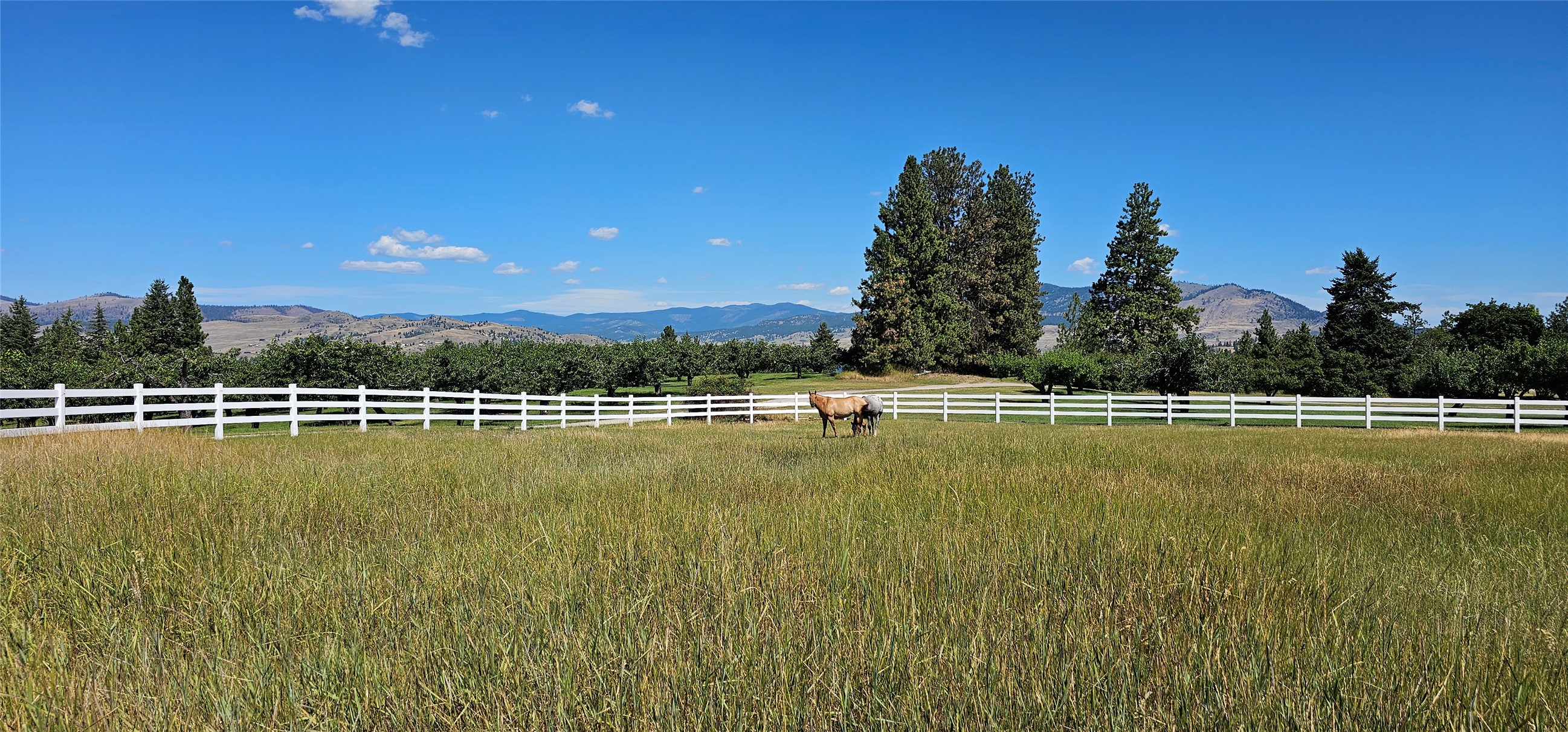 39784 US Hwy 93