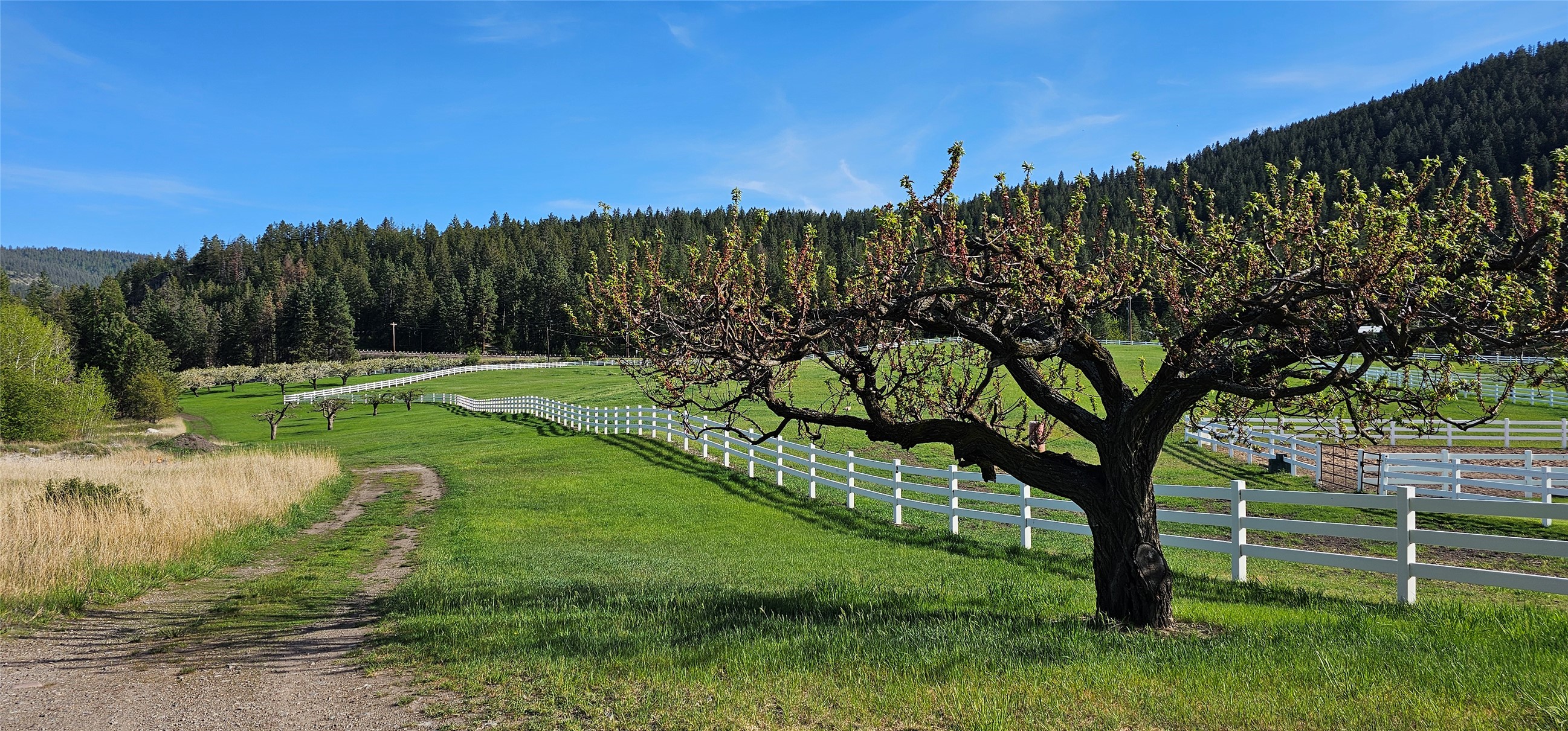 Polson, Montana 59860, United States, ,Land,Active,175284