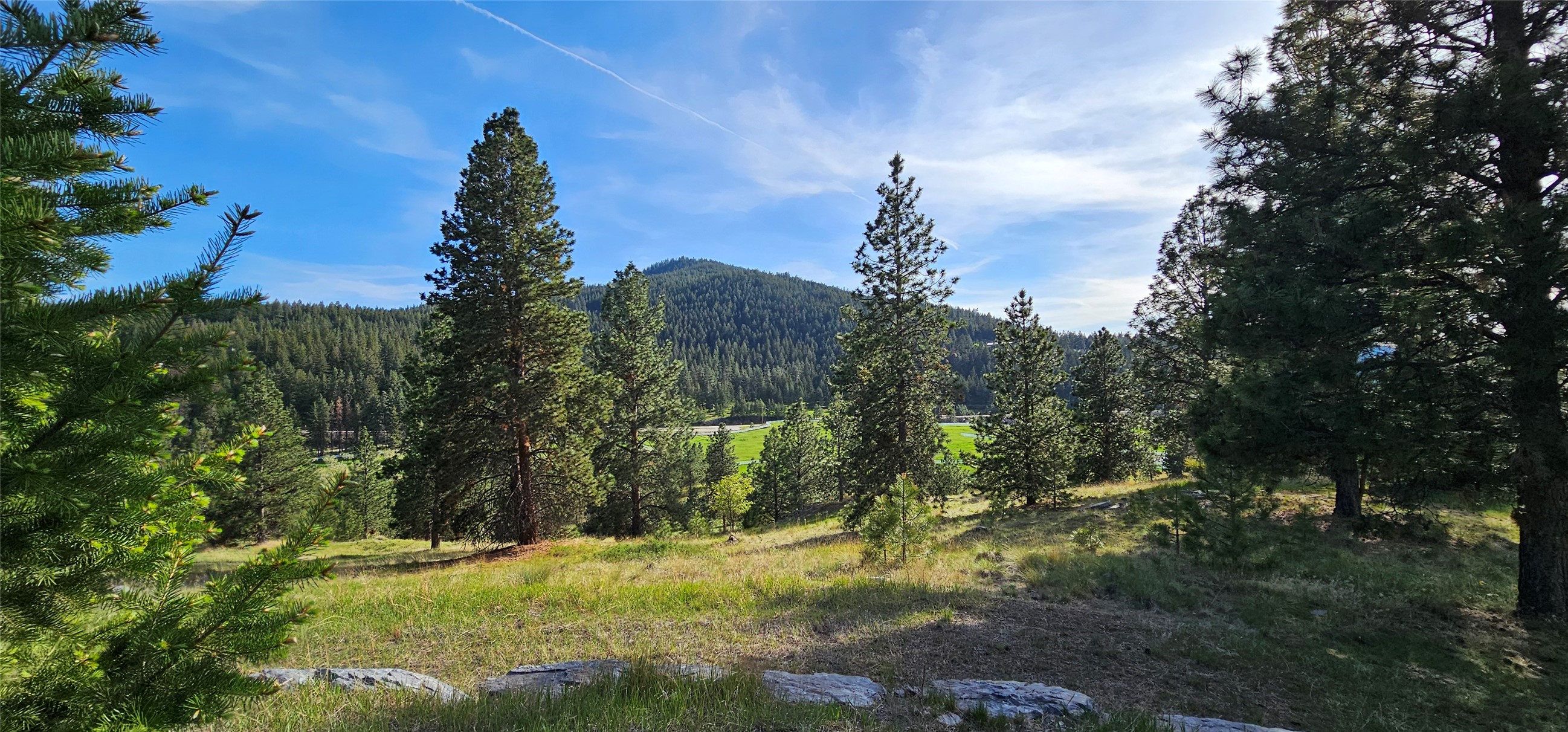 Polson, Montana 59860, United States, ,Land,Active,175284