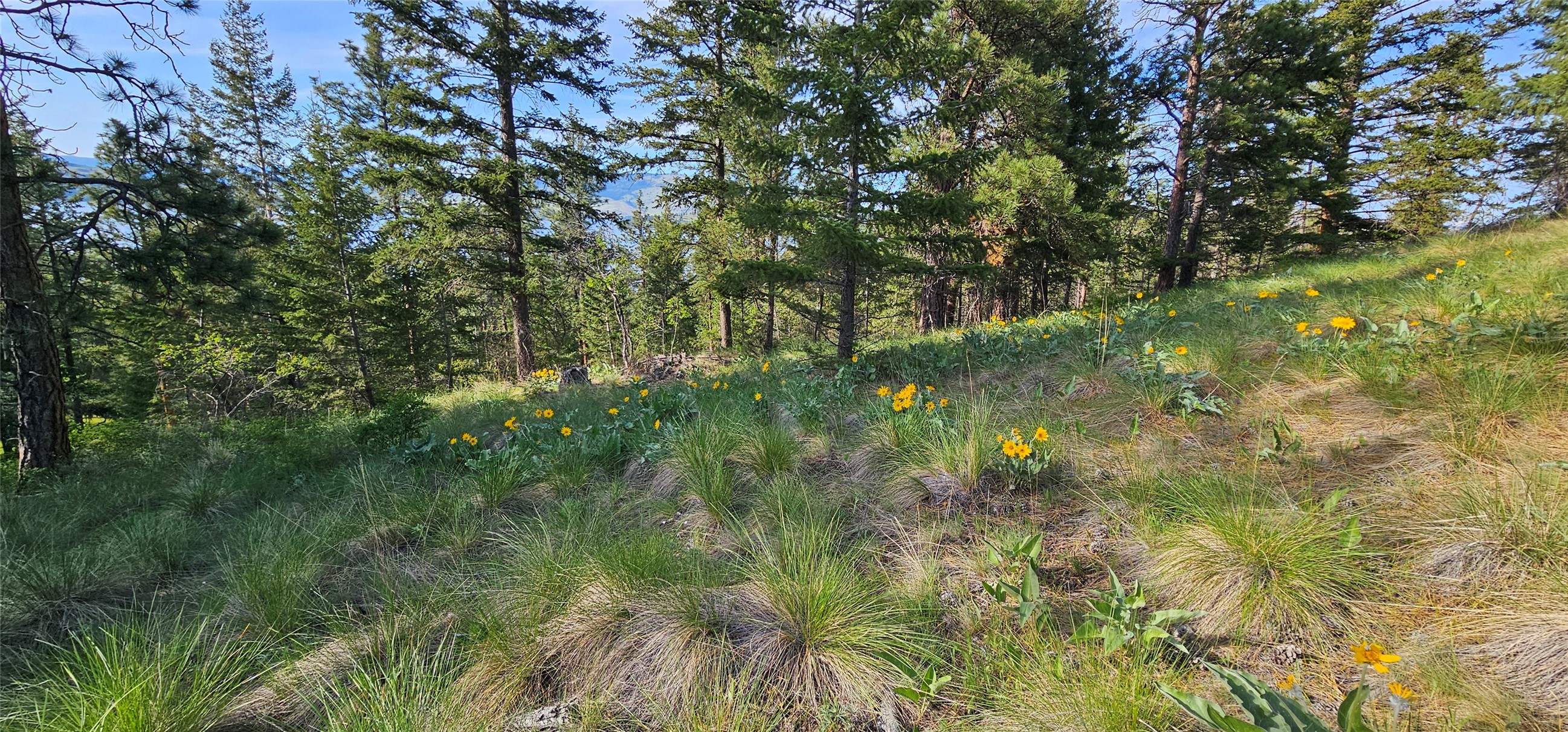 Polson, Montana 59860, United States, ,Land,Active,175284