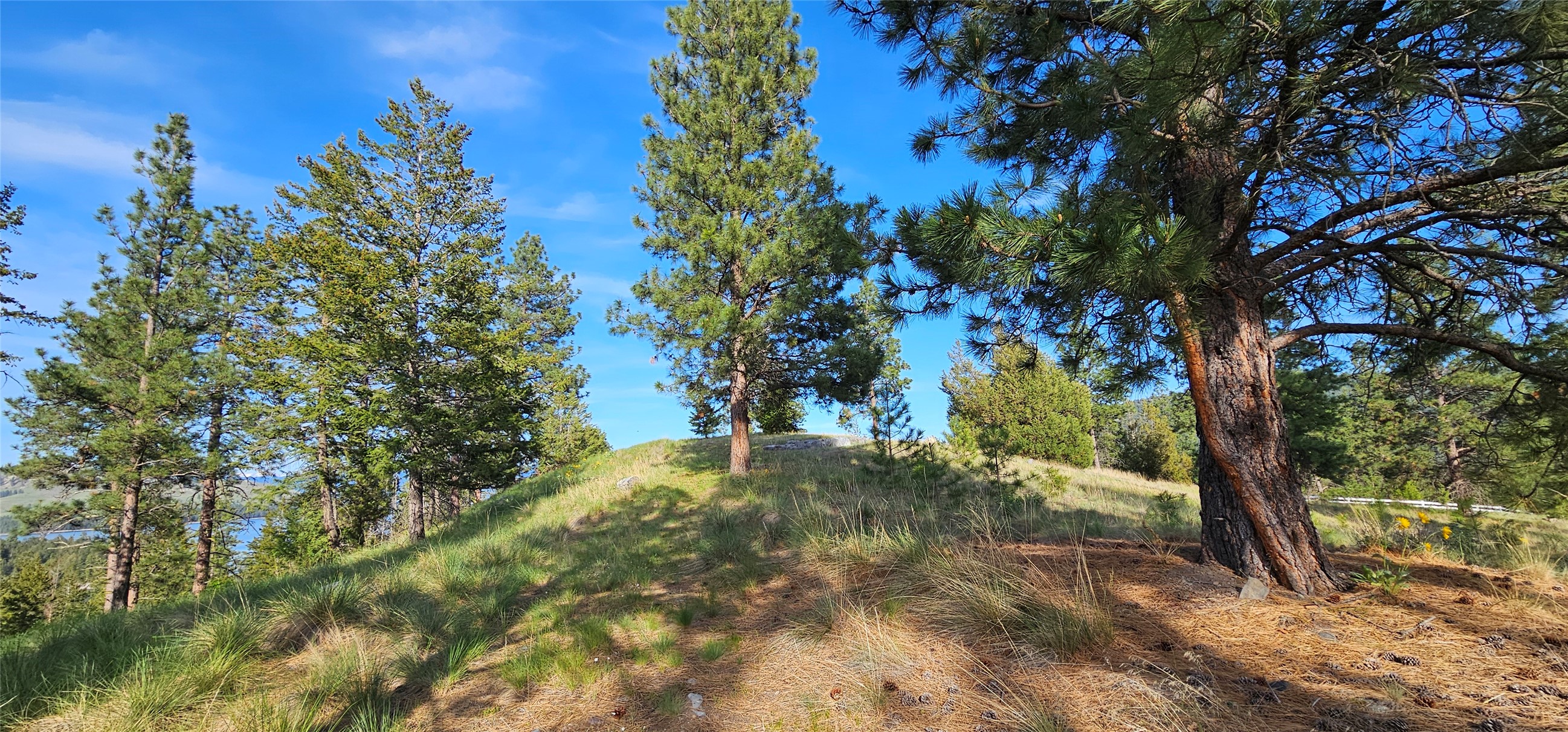 Polson, Montana 59860, United States, ,Land,Active,175284