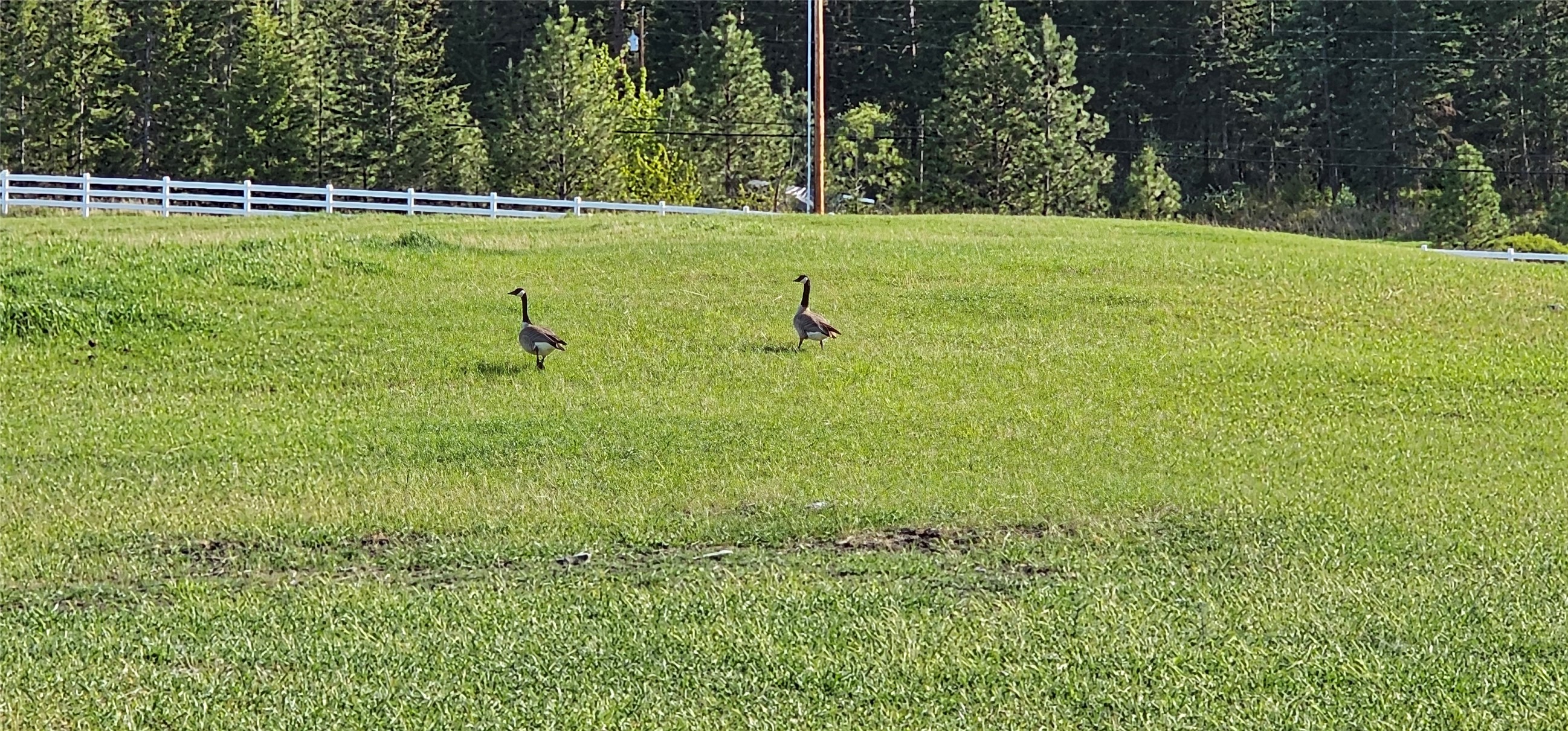 Polson, Montana 59860, United States, ,Land,Active,175284