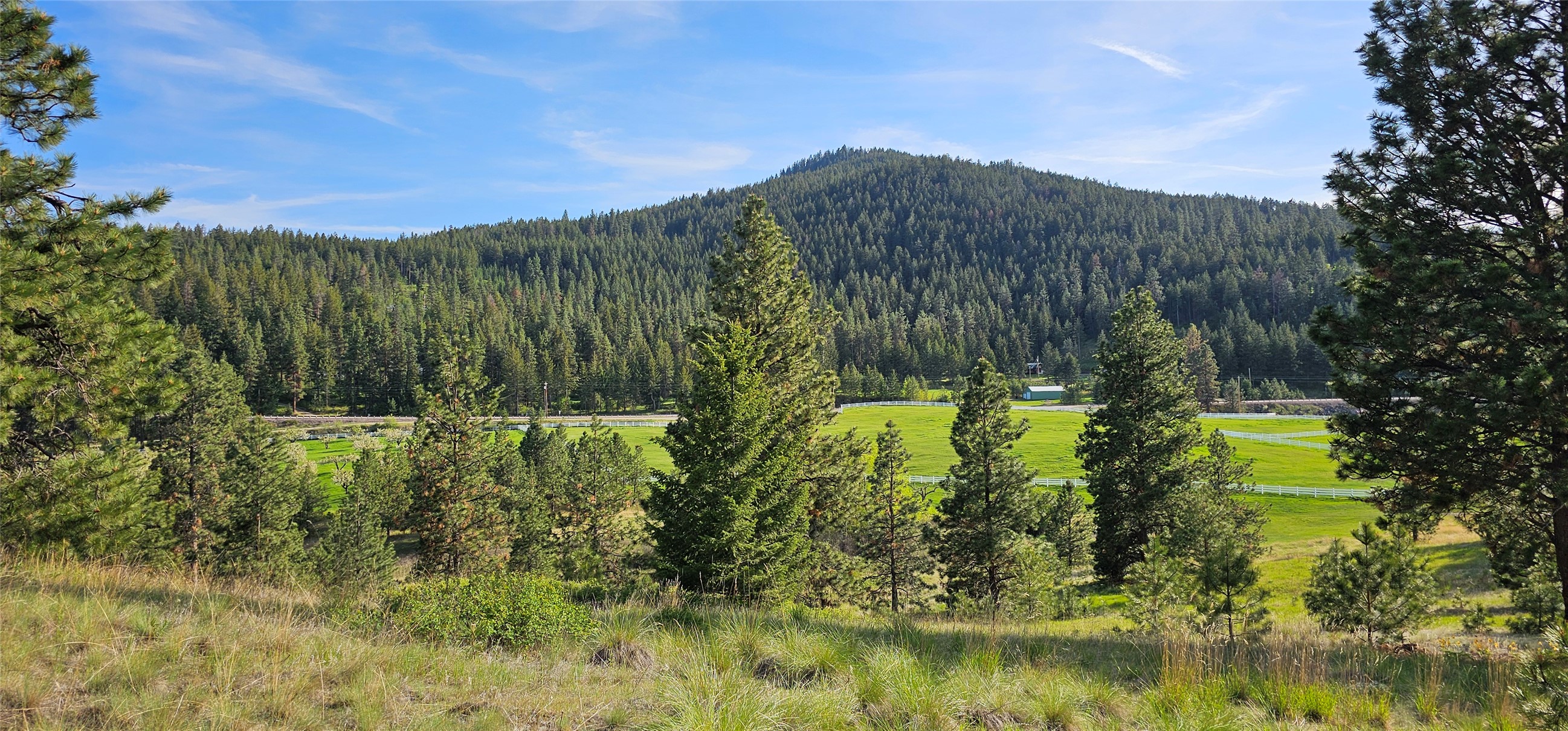 Polson, Montana 59860, United States, ,Land,Active,175284