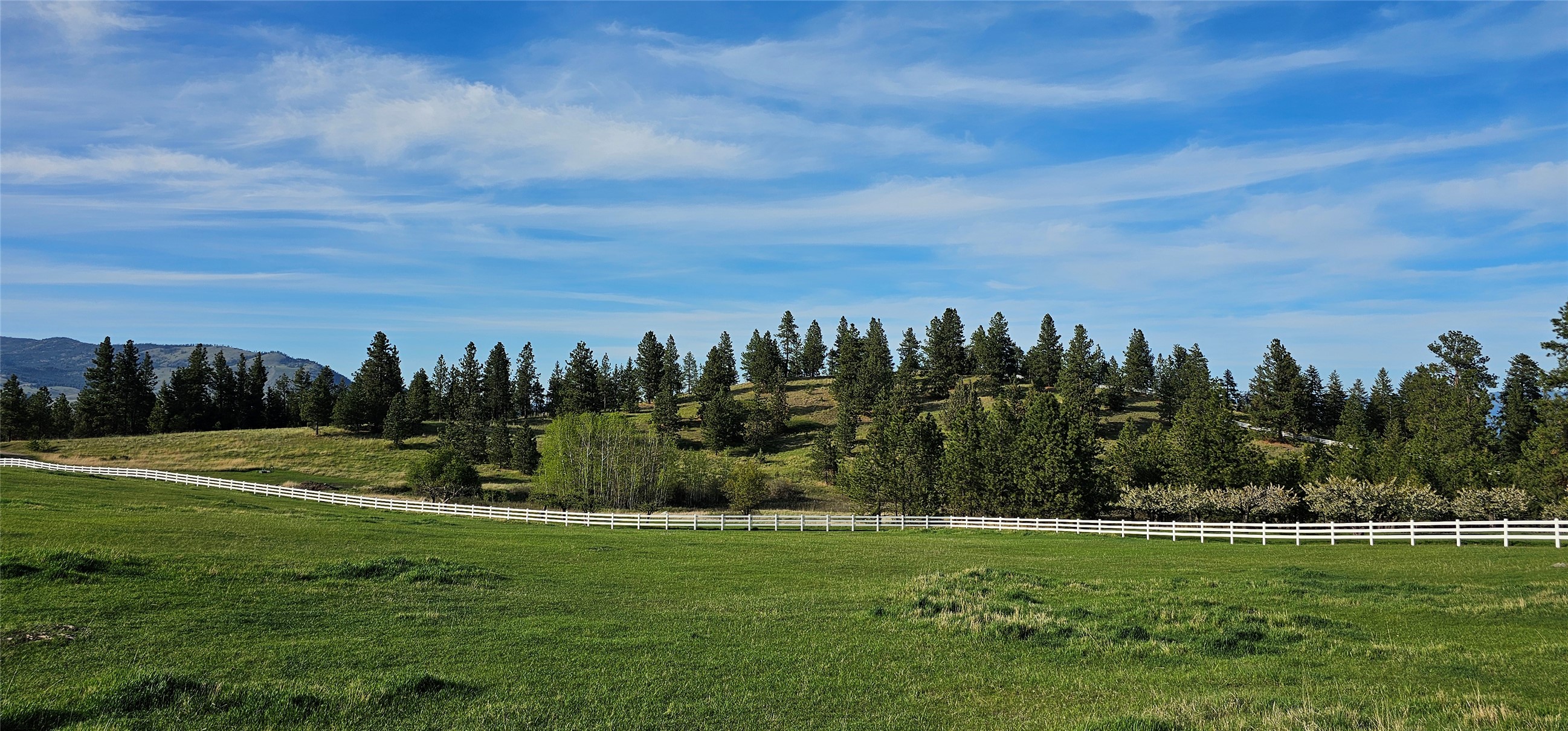 Polson, Montana 59860, United States, ,Land,Active,175284