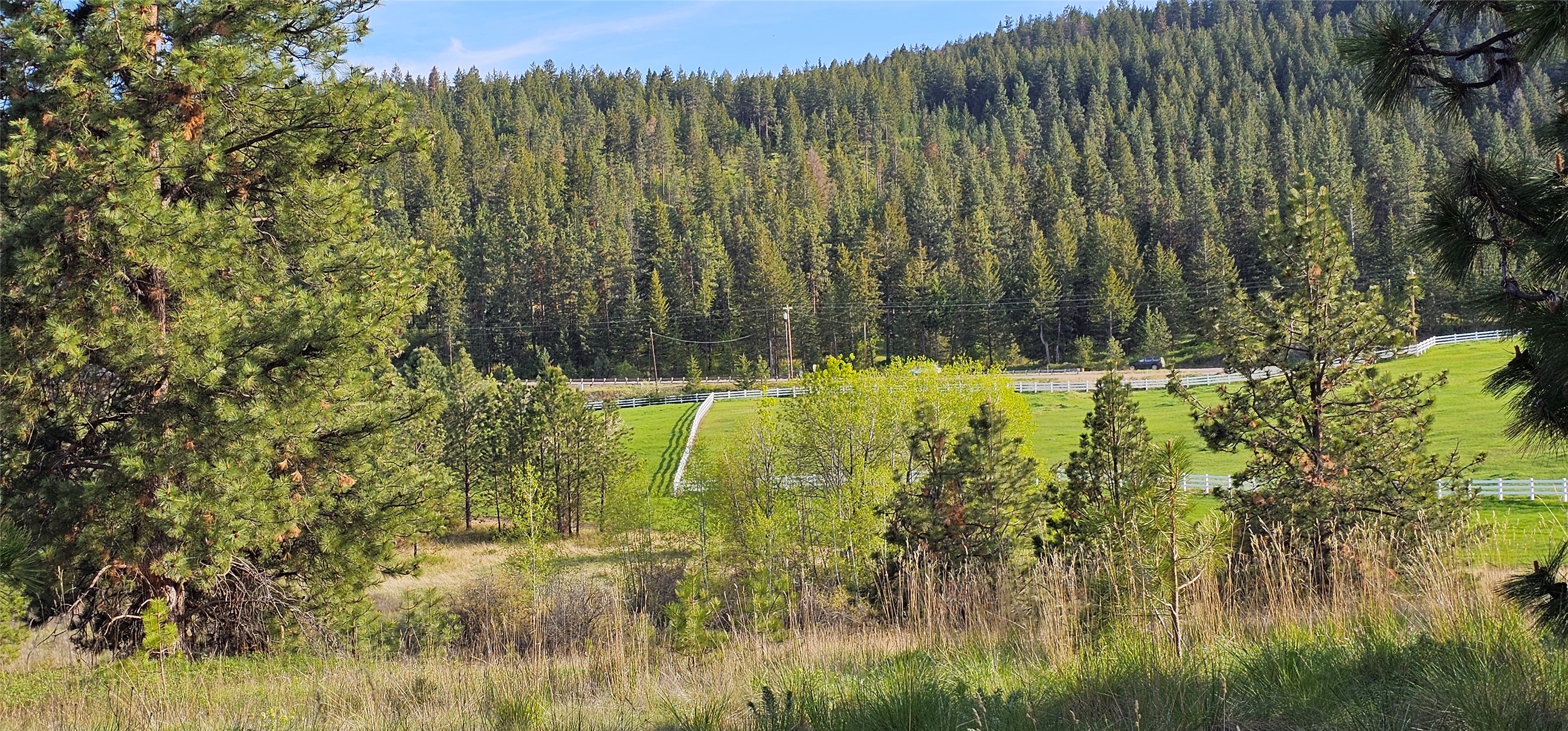 Polson, Montana 59860, United States, ,Land,Active,175284