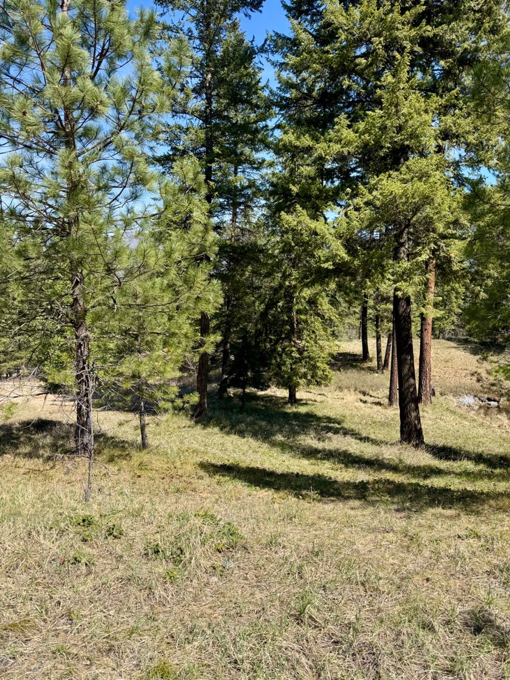Photo of Nhn Mossy Rock Court, Thompson Falls, MT 59873 (MLS # 30068575)