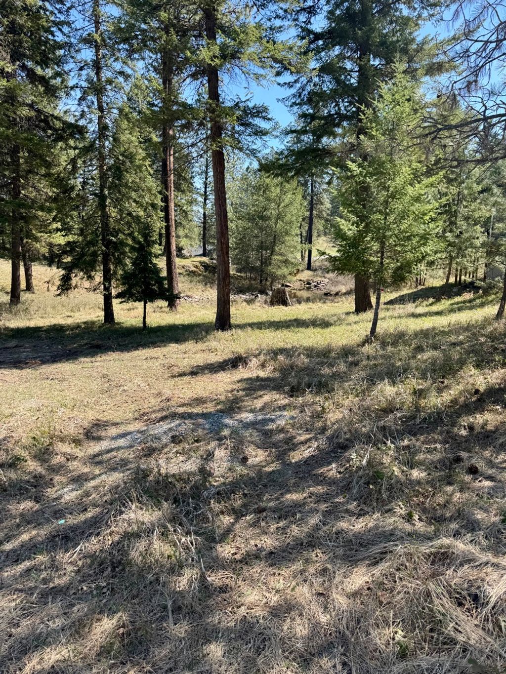 Photo of Nhn Mossy Rock Court, Thompson Falls, MT 59873 (MLS # 30068575)