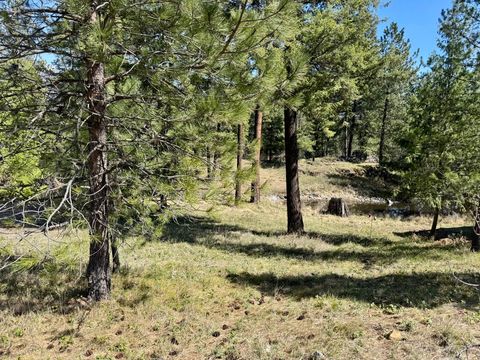 Photo of Nhn Mossy Rock Court, Thompson Falls, MT 59873 (MLS # 30068575)