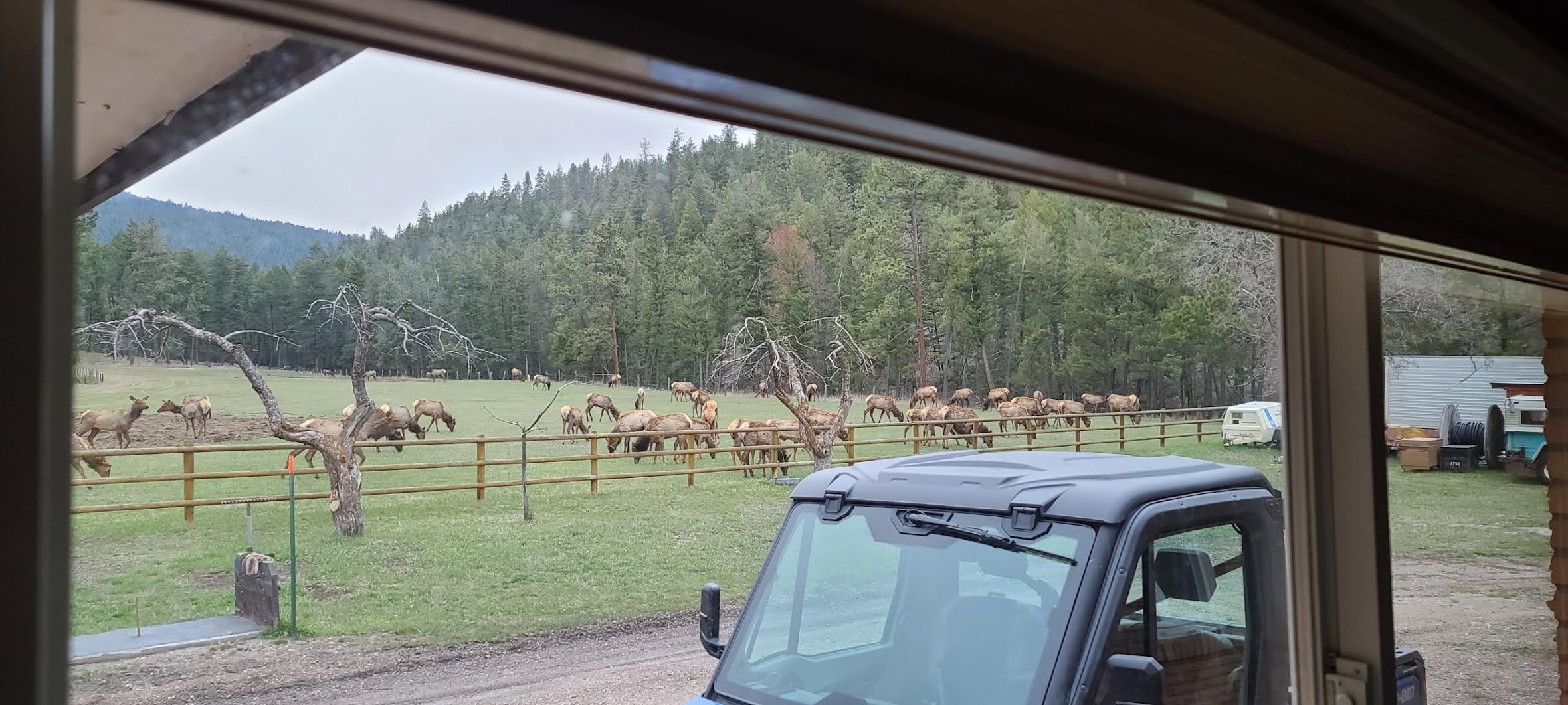 7425 Deadman Gulch Court