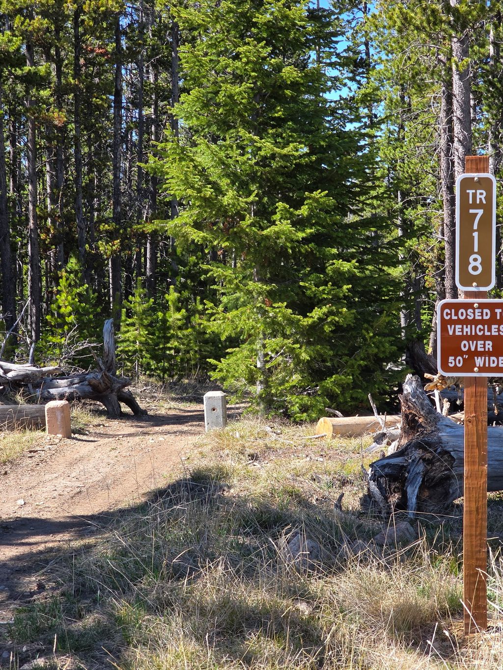 Photo of NHN Spencer, White Sulphur Springs, MT 59645 (MLS # 30068890)