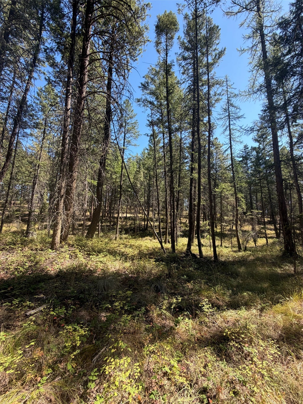 Photo of 257 Bridger Road, Lakeside, MT 59922 (MLS # 30077655)
