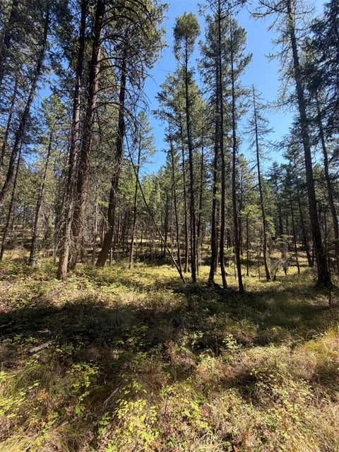 Photo of 257 Bridger Road, Lakeside, MT 59922 (MLS # 30077655)