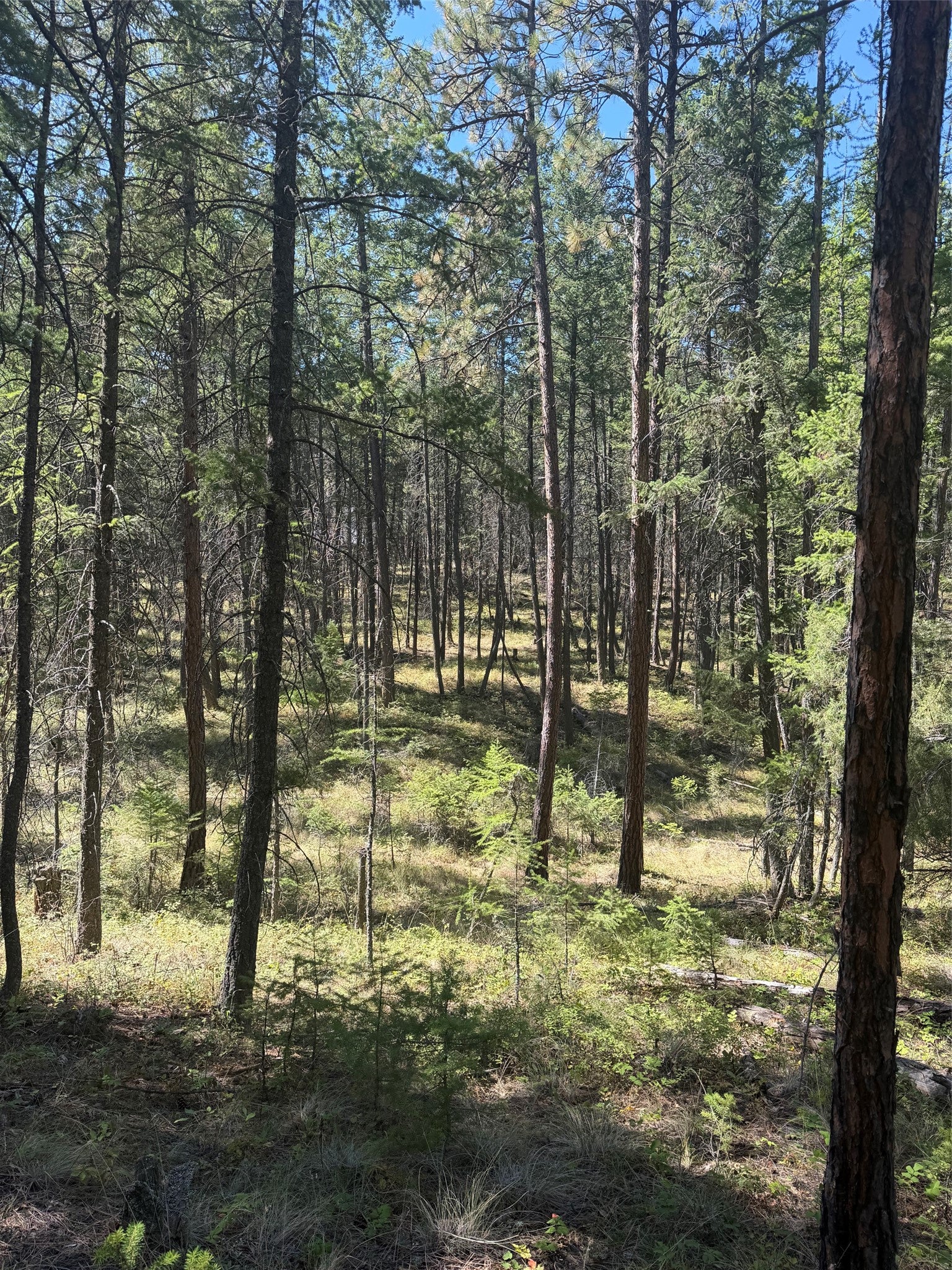 257 Bridger Road