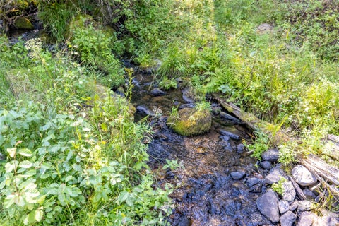 Tiny photo for 1695 Wild Bill Road, Kila, MT 59920 (MLS # 30076251)