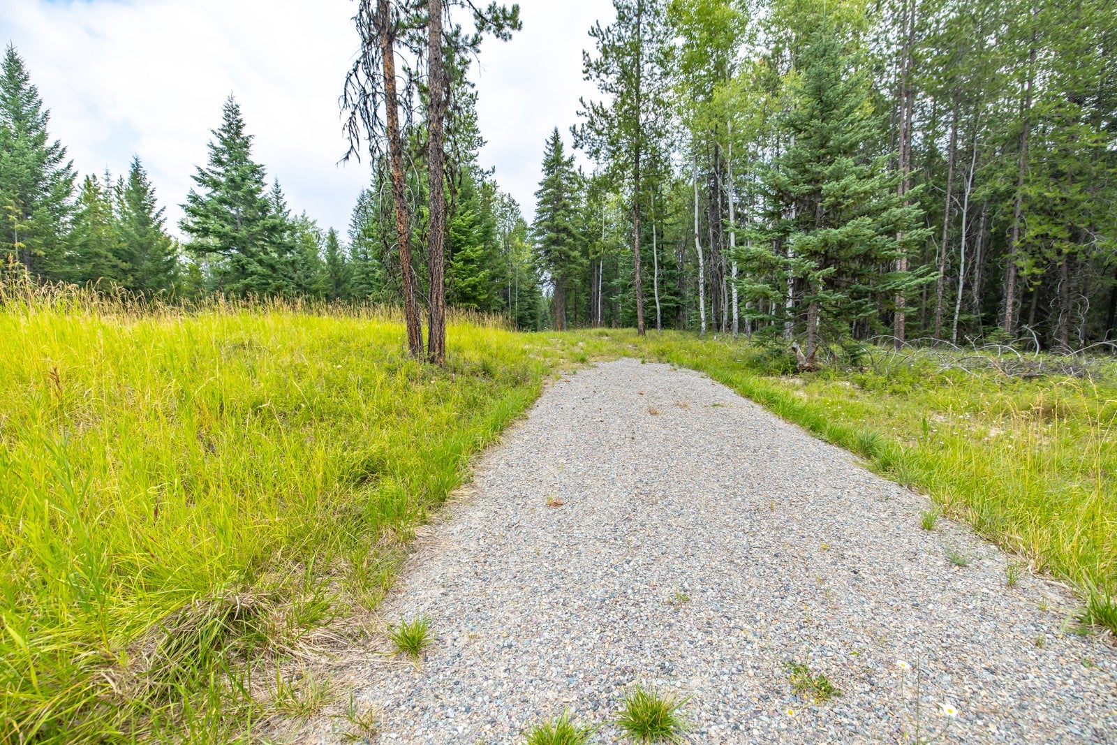 NHN Fortine Creek Road