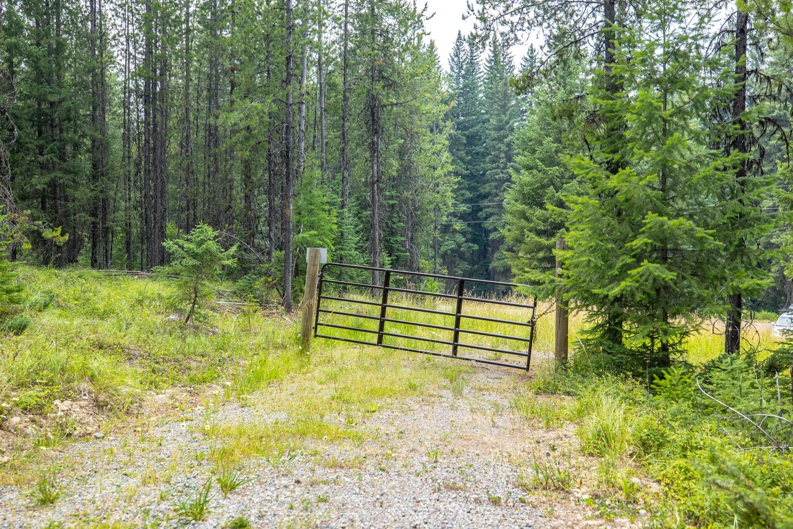 NHN Fortine Creek Road