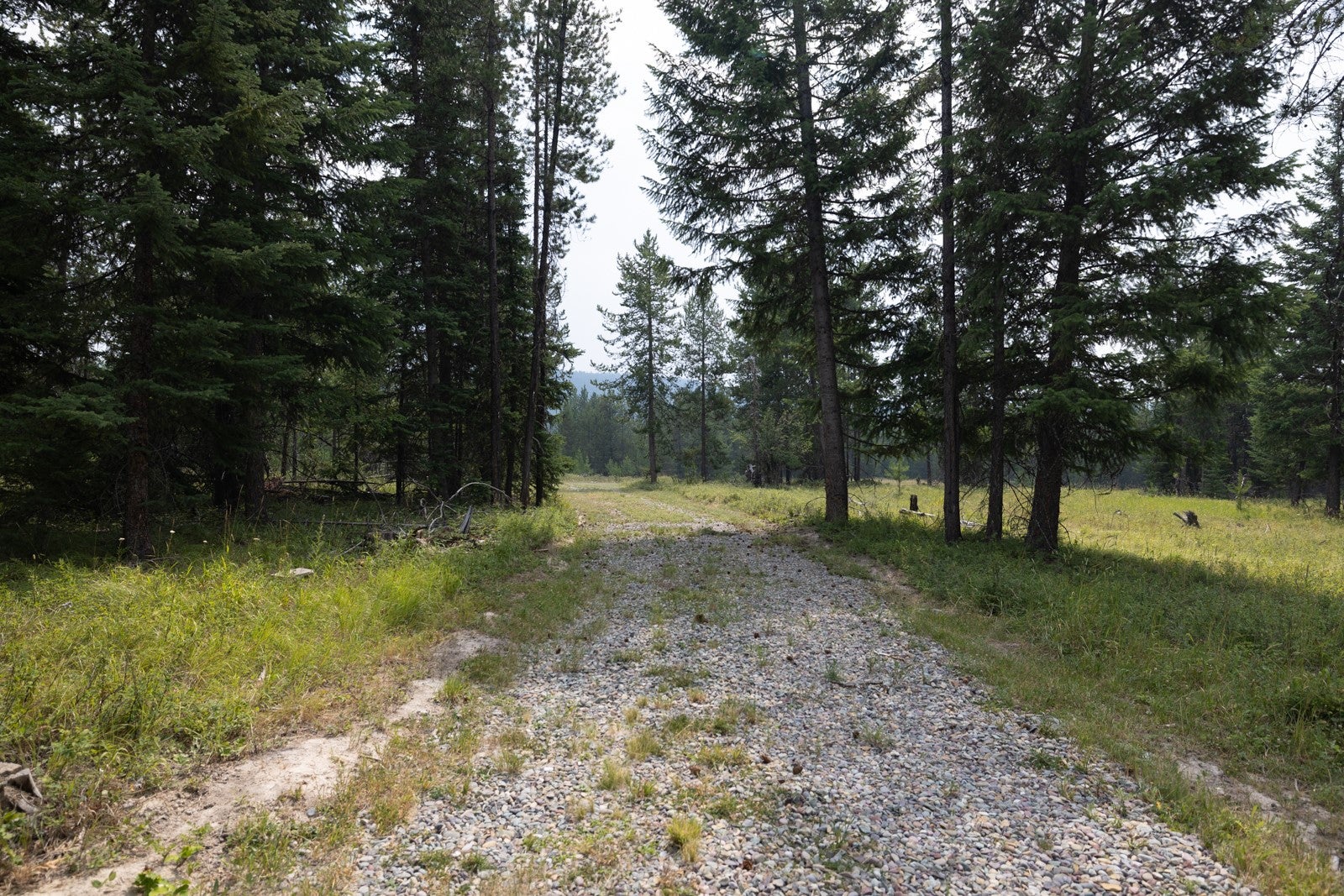 NHN Fortine Creek Road