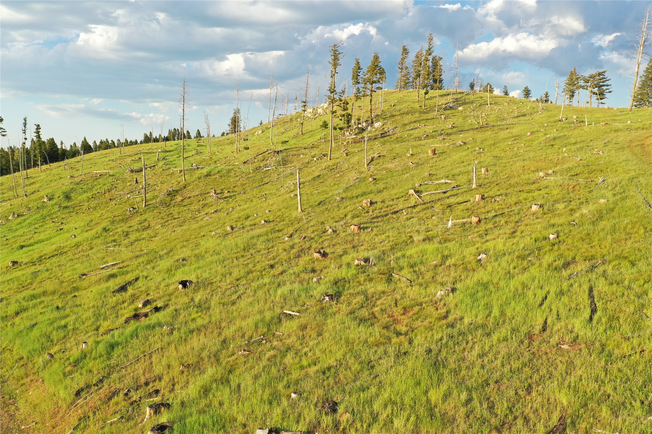 1 Tract, Garnet Range