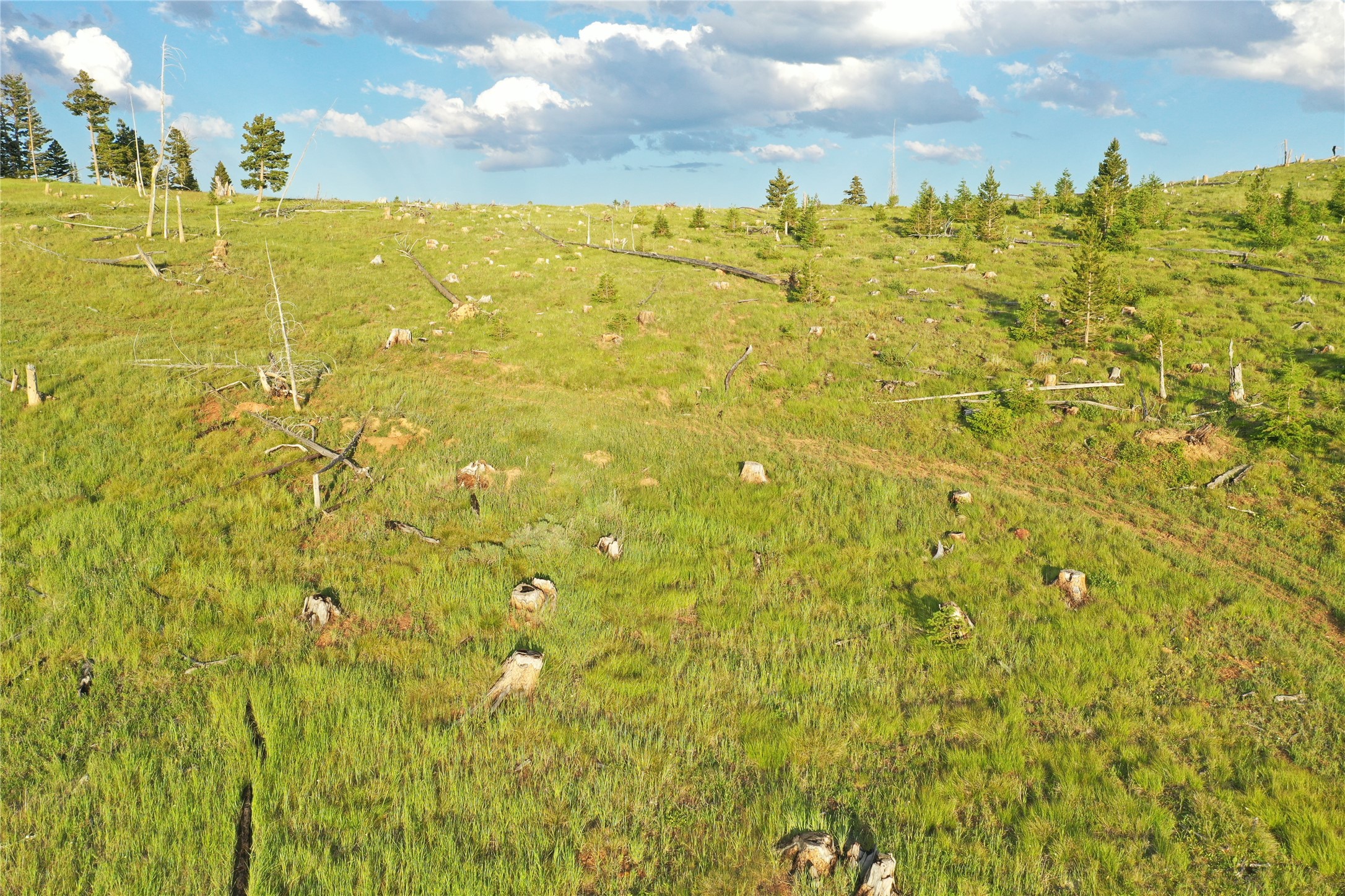 1 Tract, Garnet Range