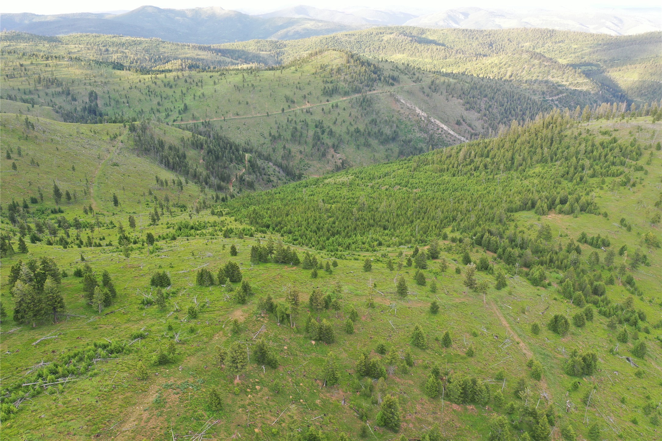 Tract 1,2,3,16 Garnet Range