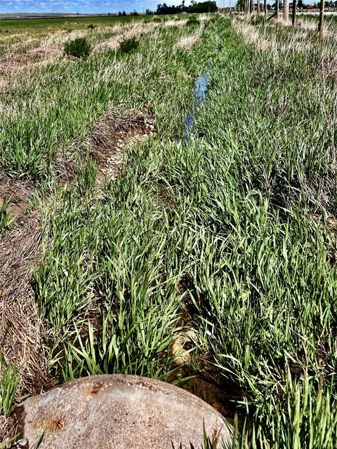 Tiny photo for 1245 26th Road NW, Bynum, MT 59419 (MLS # 30072675)