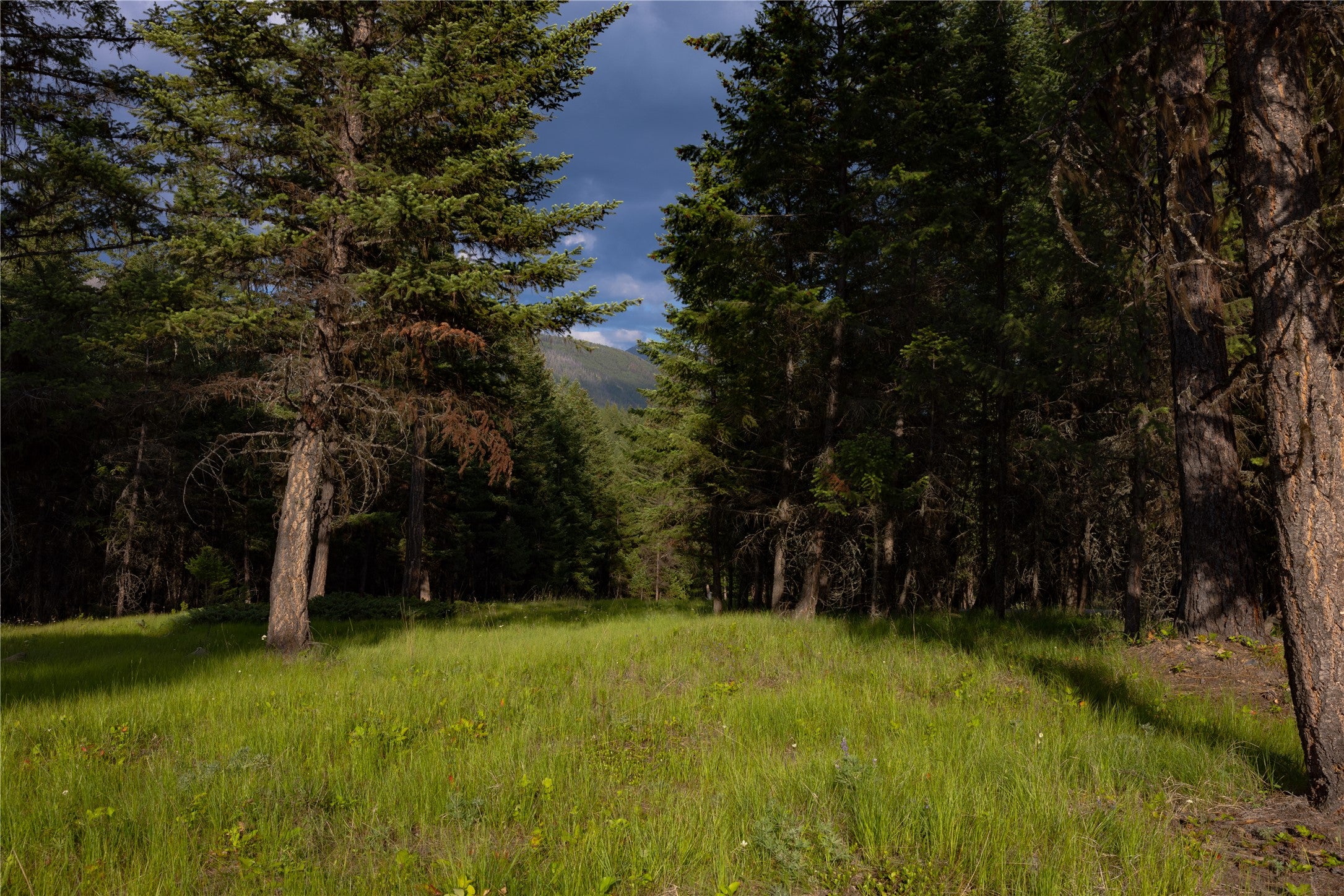 598 Aspen Glen Road