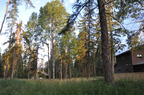 Photo of 181 Mountain Brook Lane, Whitefish, MT 59937 (MLS # 30075130)