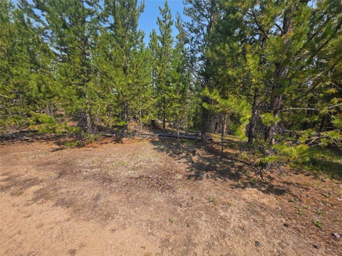 Tiny photo for NhN Sparo #10467, Butte, MT 59701 (MLS # 30076652)