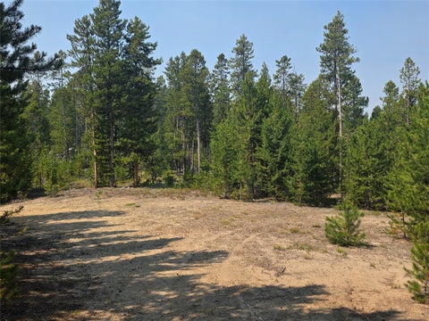 Tiny photo for NhN Sparo #10467, Butte, MT 59701 (MLS # 30076652)