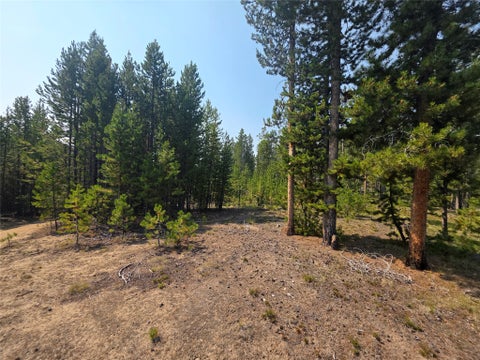 Tiny photo for NhN Sparo #10467, Butte, MT 59701 (MLS # 30076652)