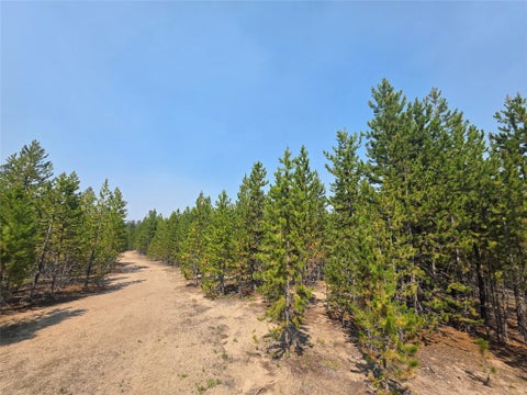 Tiny photo for NhN Sparo #10467, Butte, MT 59701 (MLS # 30076652)