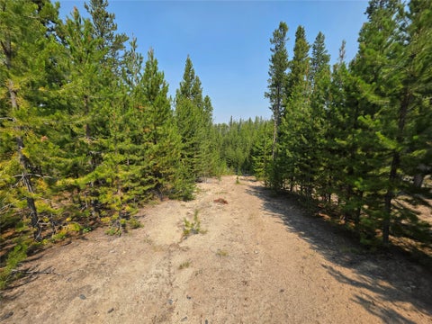 Tiny photo for NhN Sparo #10467, Butte, MT 59701 (MLS # 30076652)