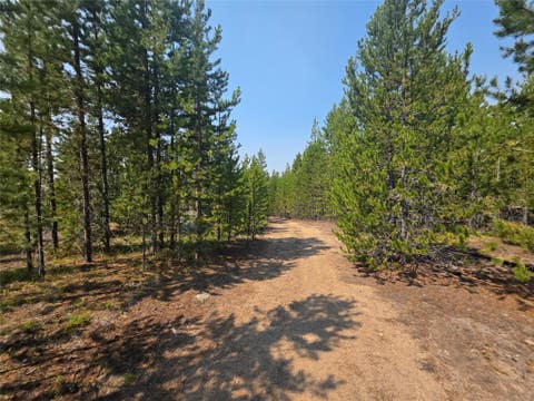 Tiny photo for NhN Sparo #10467, Butte, MT 59701 (MLS # 30076652)
