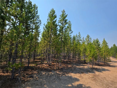 Tiny photo for NhN Sparo #10467, Butte, MT 59701 (MLS # 30076652)