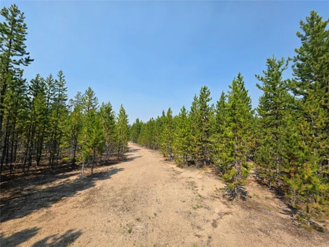 Tiny photo for NhN Sparo #10467, Butte, MT 59701 (MLS # 30076652)
