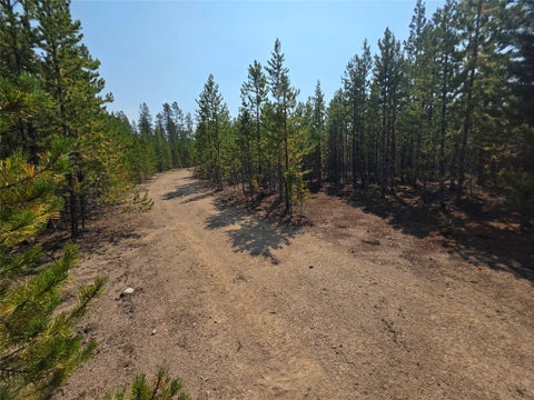 Tiny photo for NhN Sparo #10467, Butte, MT 59701 (MLS # 30076652)