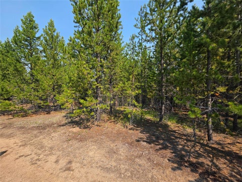 Tiny photo for NhN Sparo #10467, Butte, MT 59701 (MLS # 30076652)