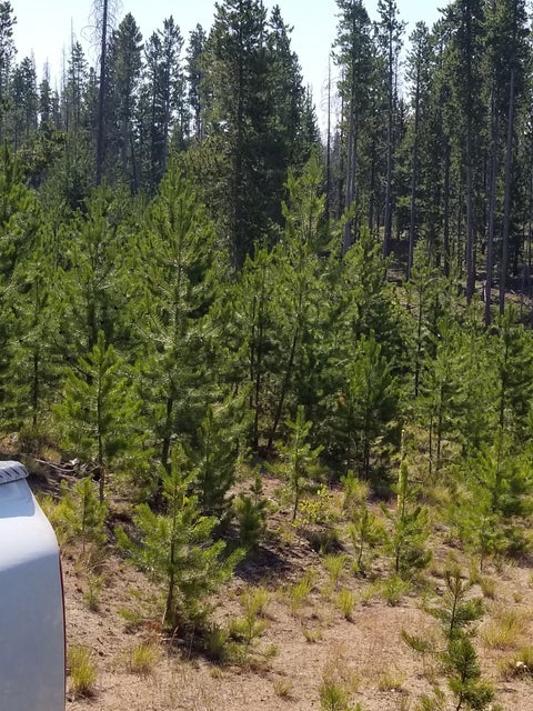 Tiny photo for NhN Sparo #10467, Butte, MT 59701 (MLS # 30076652)