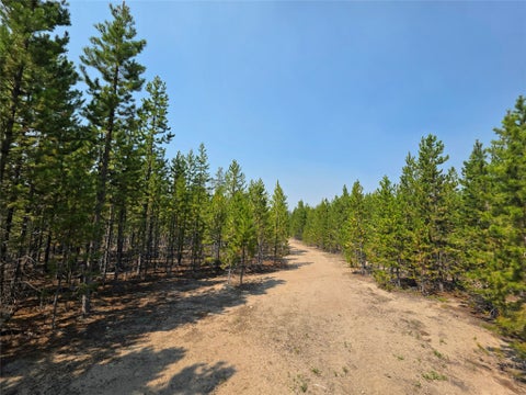 Tiny photo for NhN Sparo #10467, Butte, MT 59701 (MLS # 30076652)