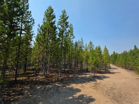 Tiny photo for NhN Sparo #10467, Butte, MT 59701 (MLS # 30076652)